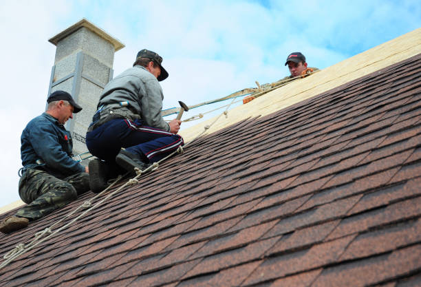 Best Storm Damage Roof Repair  in USA